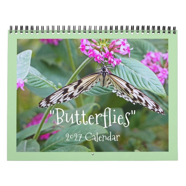 "PAPILLONS" CALENDRIER 2026 (Protection)