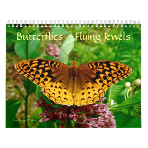 Papillons - Calendrier des bijoux volants
