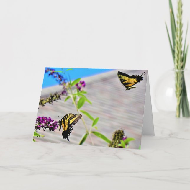 Papillons, carte (Devant)