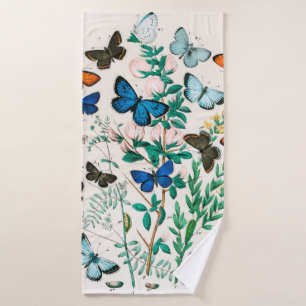 Papillons, chenilles de William Forsell Kirby