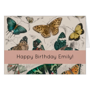 Papillons Collection Antique Papillons