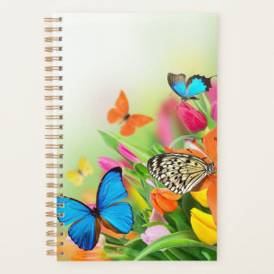 Papillons colorés petit planificateur