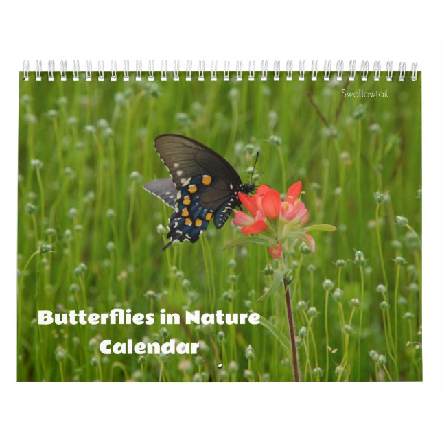 Papillons dans le calendrier naturel (Protection)