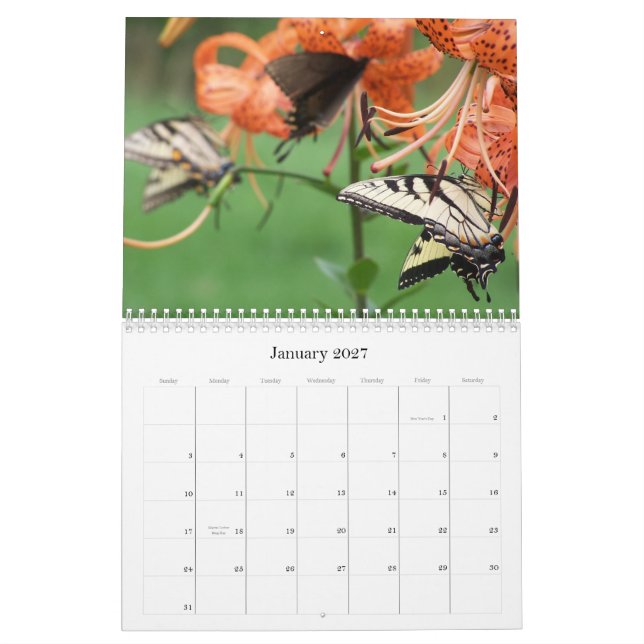 Papillons de machaon, calendrier 2009 (Jan 2027)