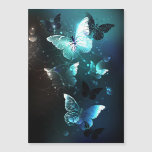 Papillons de nuit