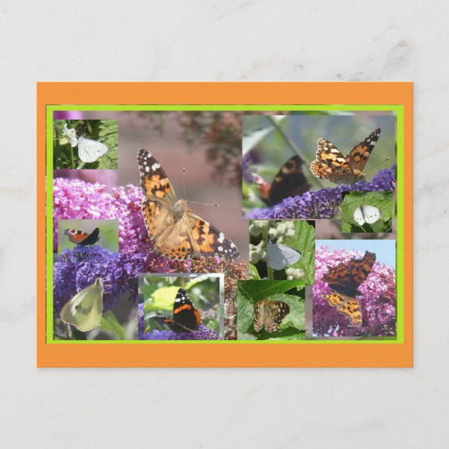 Papillons en collage d'été do-it-yourself carte po (Devant)