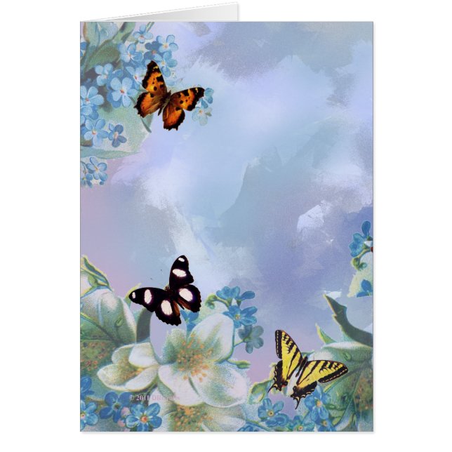 Papillons et bleus (Devant)