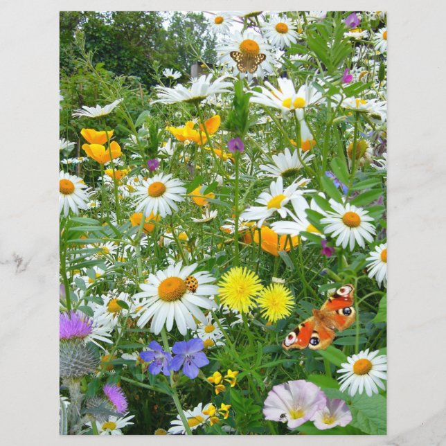 Papillons et Fleurs sauvages (Devant)