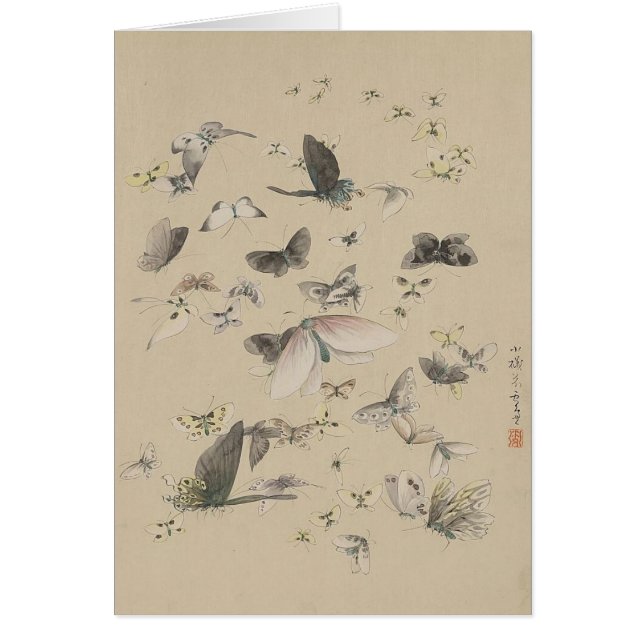 Papillons et papillons (Devant)