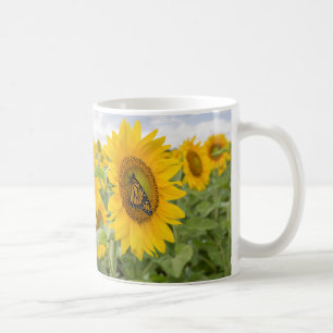 Papillons et Tasse de café tournesol