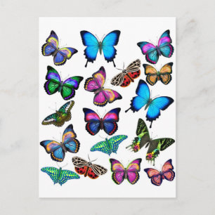 Papillons Fluttant par carte postale