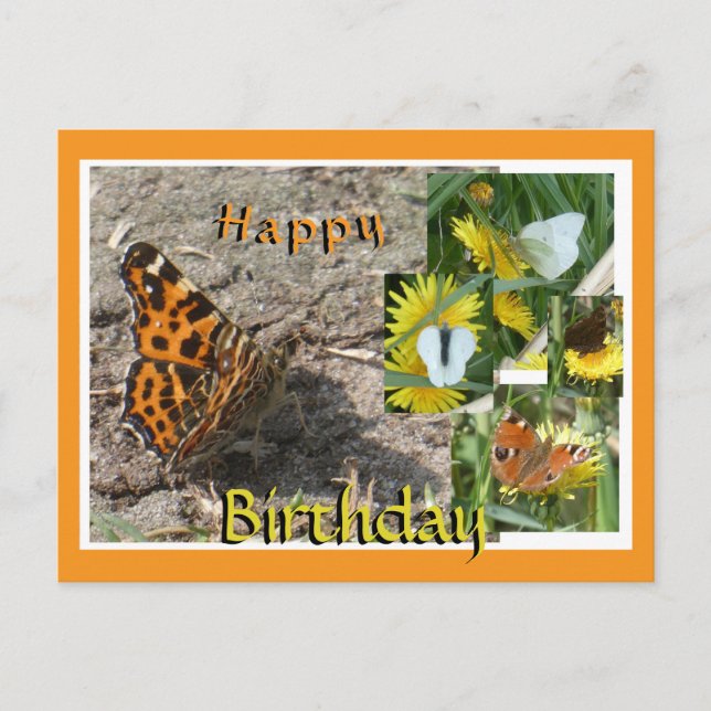 Papillons hollandais Collage Carte postale Anniver (Devant)