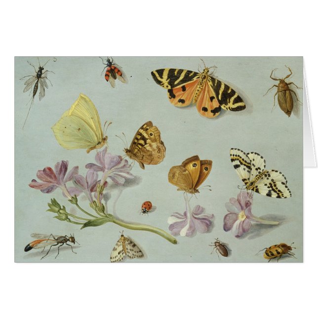 Papillons, mites et d'autres insectes (Devant horizontal)