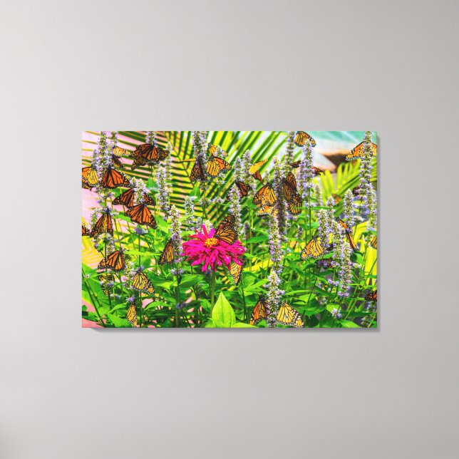 Papillons monarques 36 x 24 Impression sur toile t (Recto)
