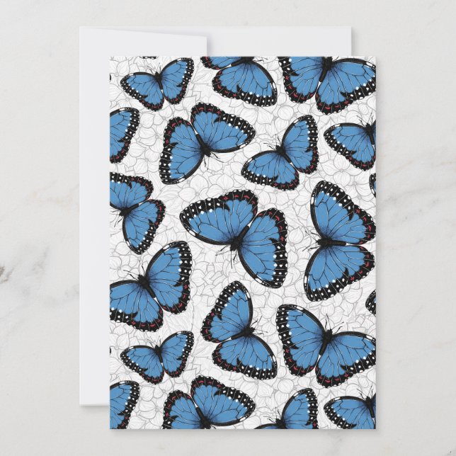 Papillons morpho bleu (Devant)