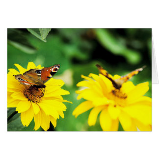 Papillons Peacock - Carte