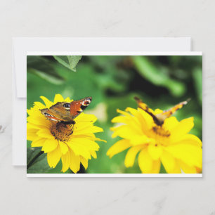 Papillons Peacock - Invitation