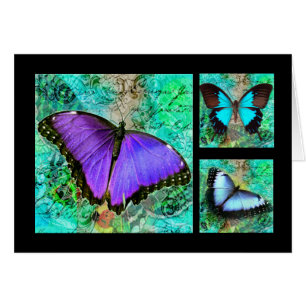 Papillons pourpres