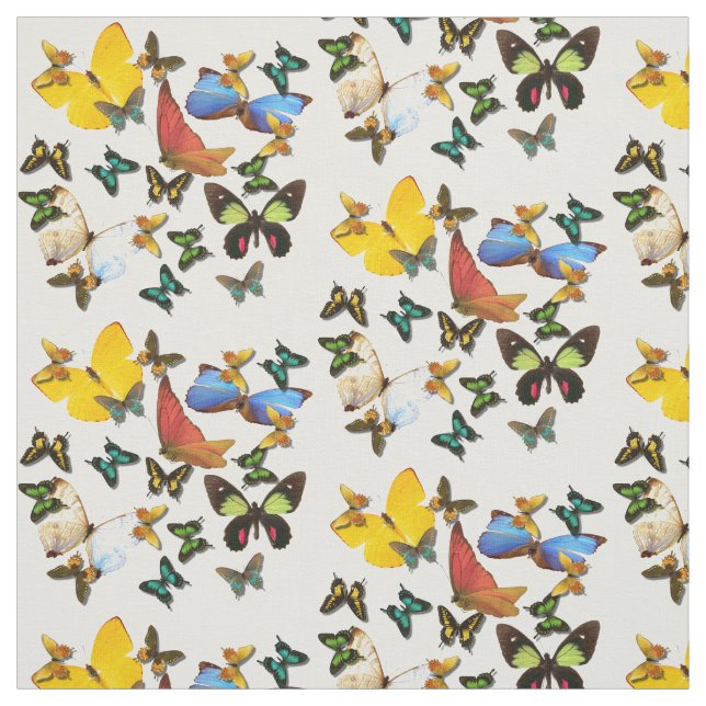 Papillons rouges bleu jaune Imprimer tissu Motif (Échantillon)