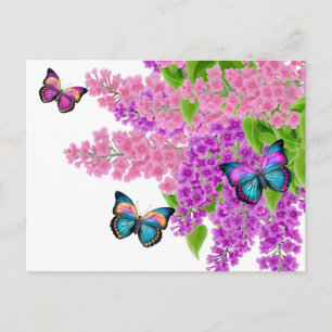 Papillons sur carte postale Lilacs