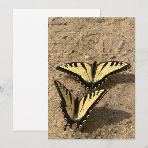 Papillons sur la carte de vacances Beach Flat