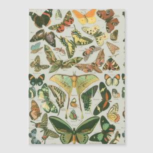 Papillons Vintages papillons d'antiquités Art