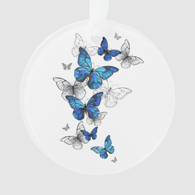 Papillons volants bleus Morpho (devant)