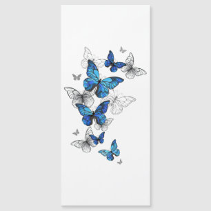 Papillons volants bleus Morpho