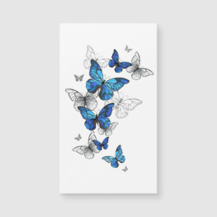 Papillons volants bleus Morpho