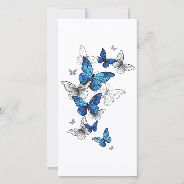 Papillons volants bleus Morpho (Devant)