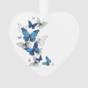 Papillons volants bleus Morpho