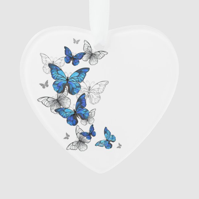 Papillons volants bleus Morpho (devant)