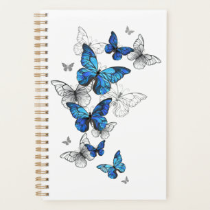 Papillons volants bleus Morpho
