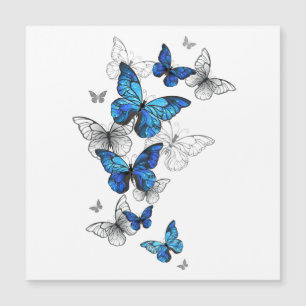 Papillons volants bleus Morpho