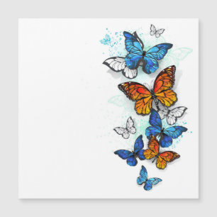 Papillons volants Morpho et Monarch