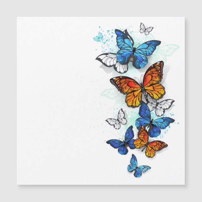 Papillons volants Morpho et Monarch (Devant)