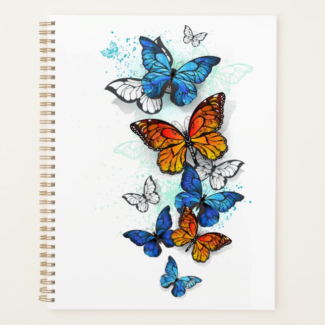Papillons volants Morpho et Monarch (Devant)
