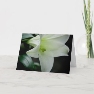 Pâques Lily ・ Carte de voeux