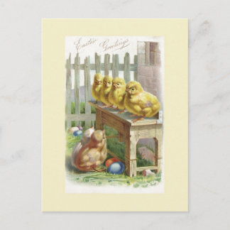 Pâques - Poussins, Oeufs & Banc - Carte Postale An