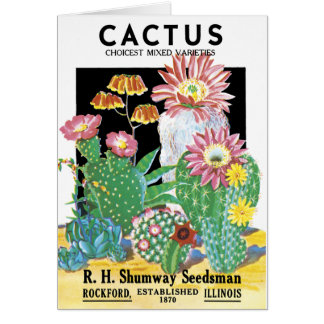 Paquet de graine de cactus