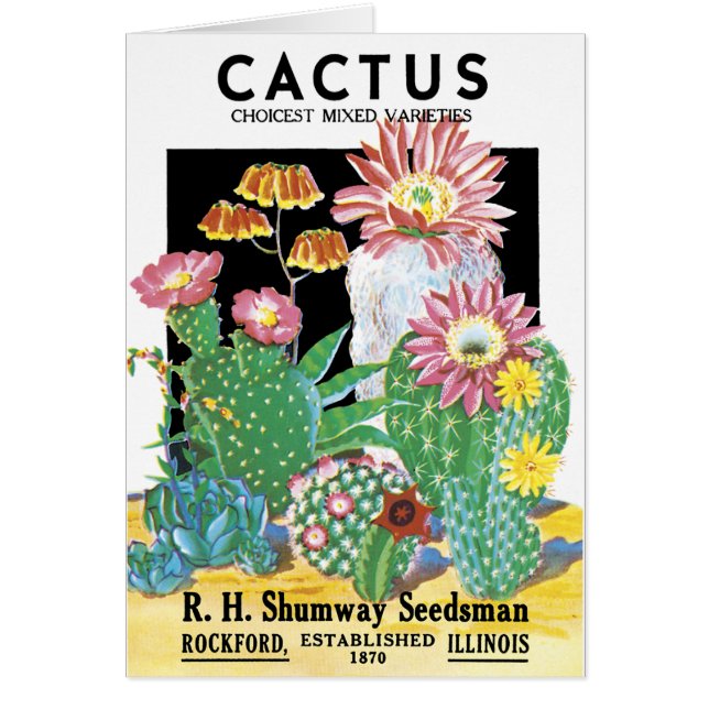 Paquet de graine de cactus (Devant)