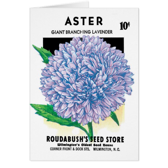 Paquet de semences vintage, Fleurs d'aster violet (Devant)