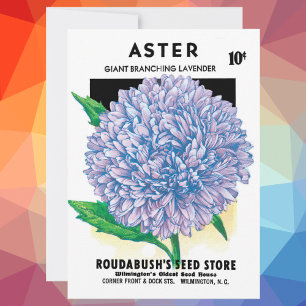Paquet de semences vintage, Fleurs d'aster violet