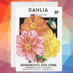 Paquet de semences vintage, Fleurs de jardin Dahli