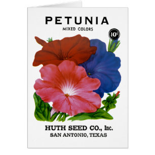 Paquet de semences Vintage Petunia