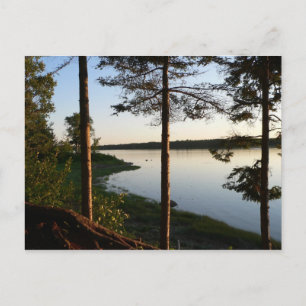 Par la carte postale Pines