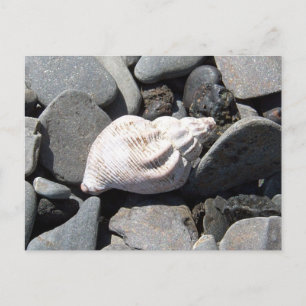 Par La Carte Postale Seashore