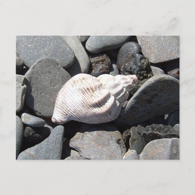 Par La Carte Postale Seashore (Devant)