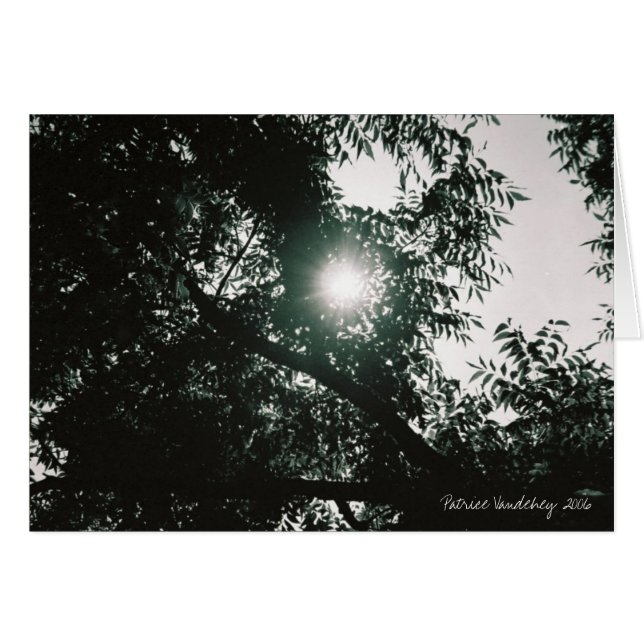 Par le psyché (Devant Horizontal)