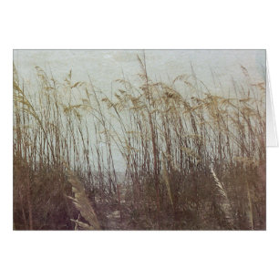 Par les dunes II